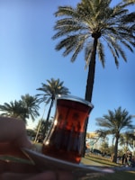 A glass of tea is held up against a backdrop of tall palm trees under a clear blue sky. The palm trees are reflected in the tea, creating a mirrored effect. People are visible in the background, along with some structures.