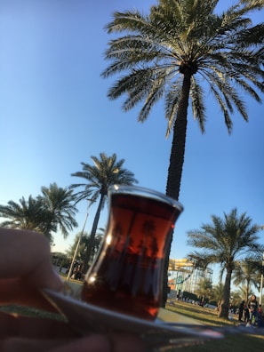 A glass of tea is held up against a backdrop of tall palm trees under a clear blue sky. The palm trees are reflected in the tea, creating a mirrored effect. People are visible in the background, along with some structures.