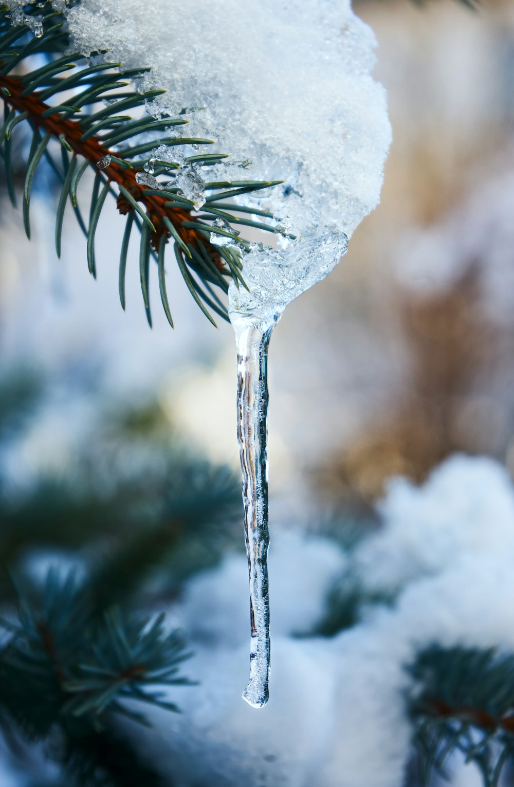 white ice on green plant