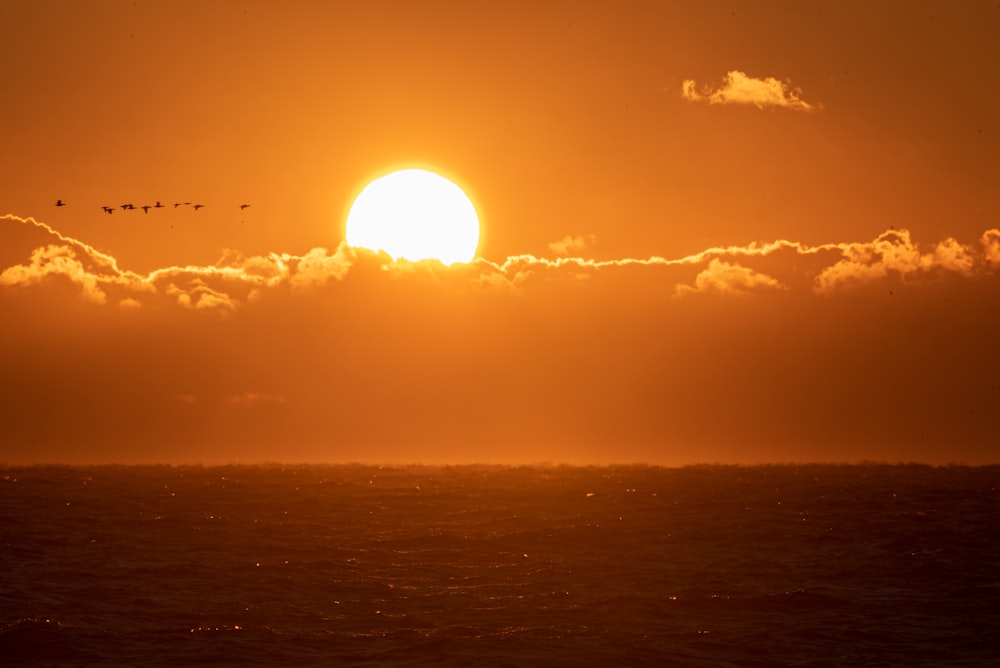 birds flying over the clouds during sunset