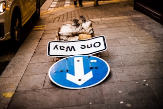 a blue and white street sign sitting on the side of a road
