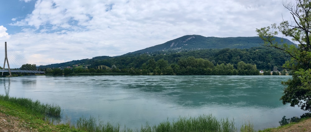 日中の水域近くの緑の草原