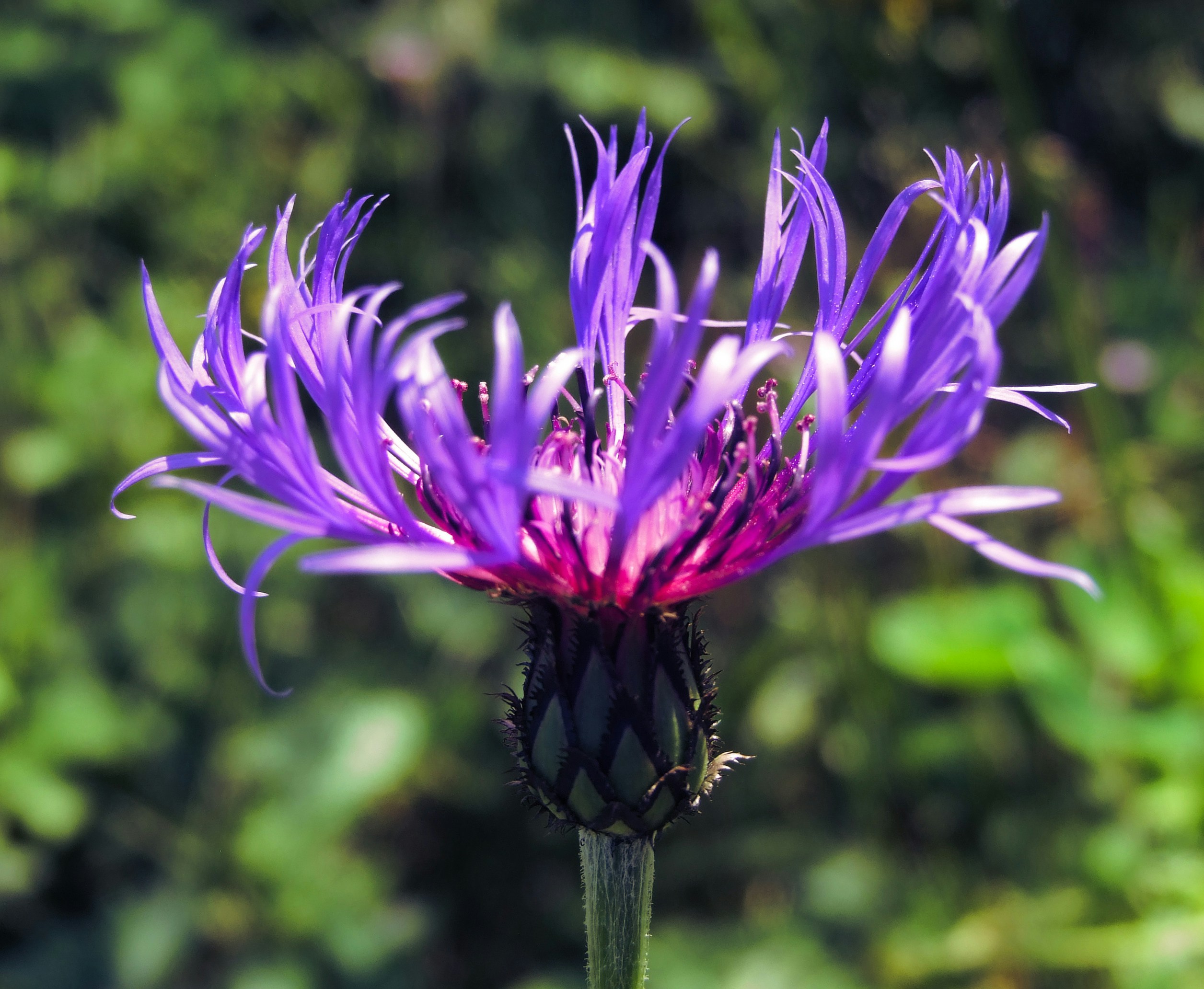 Photo by lonmcgregor