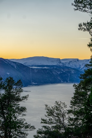 A serene mountain landscape at sunset with soft golden light filtering through tall pine trees.