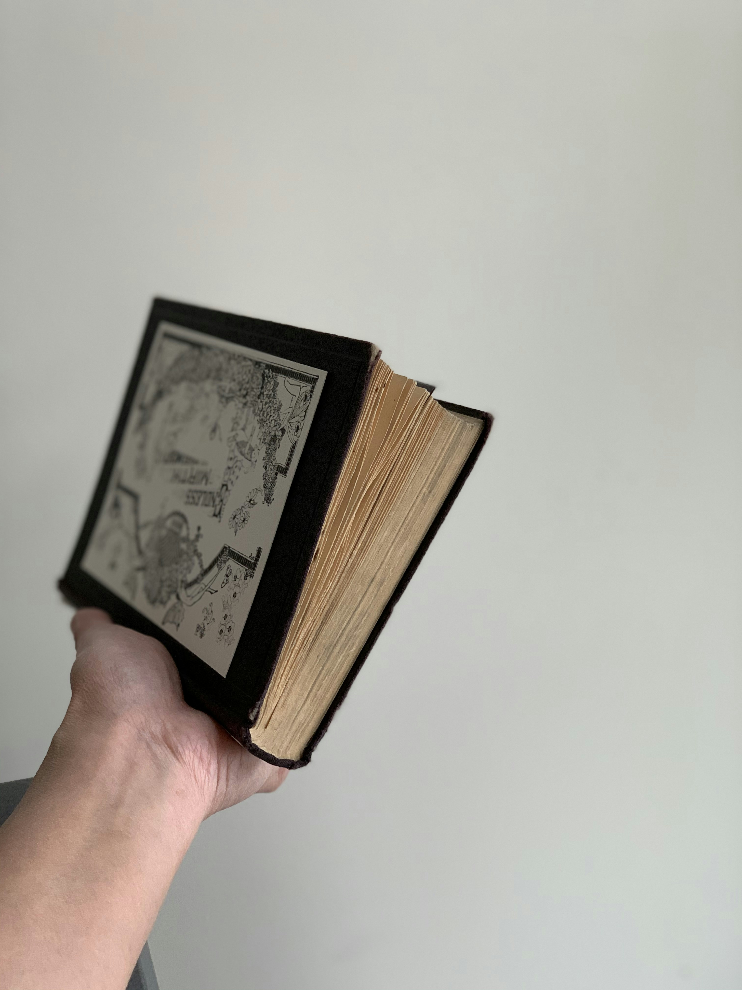 person holding brown and black book