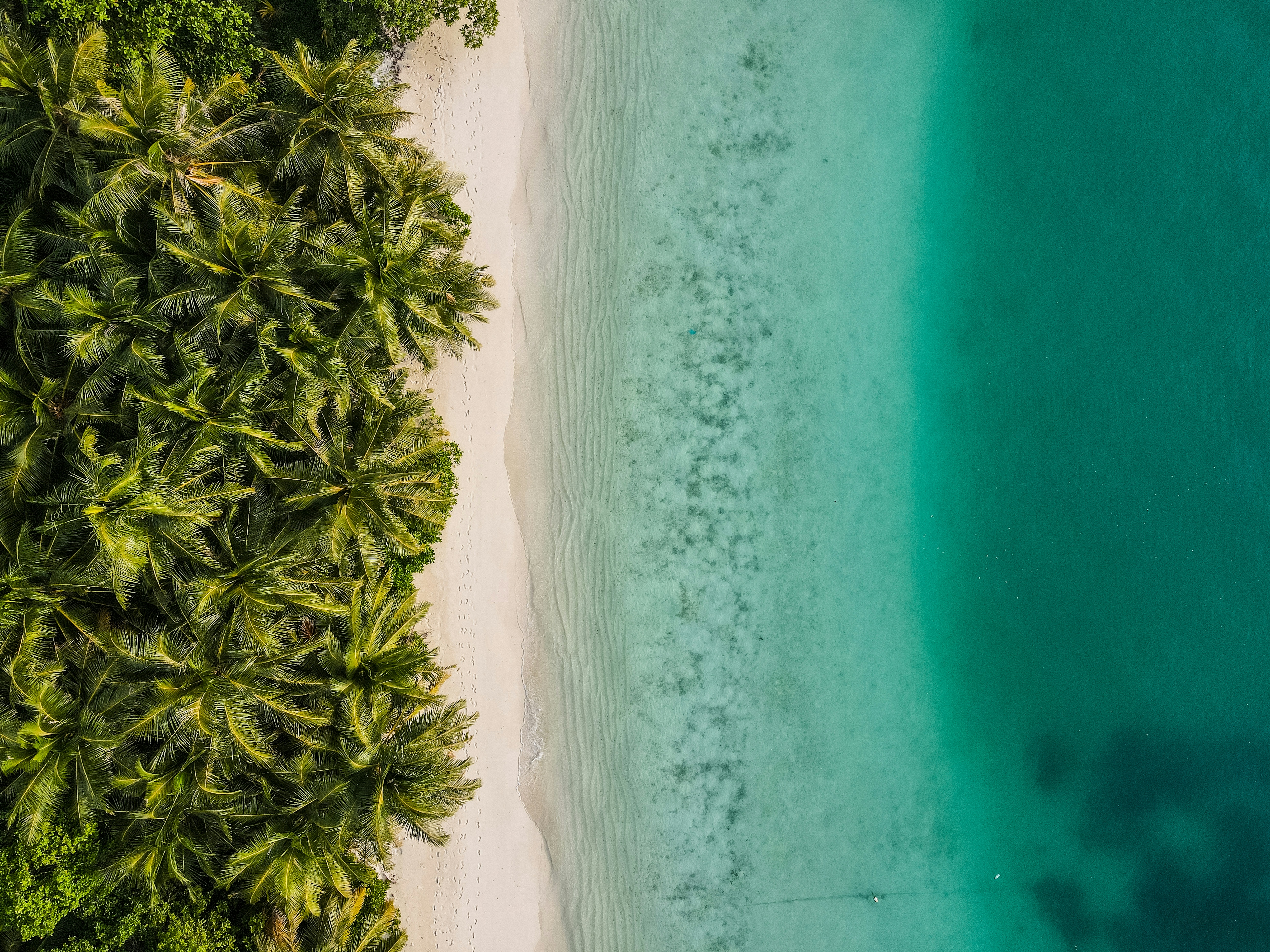 una spiaggai delle maldive vista dall'alto