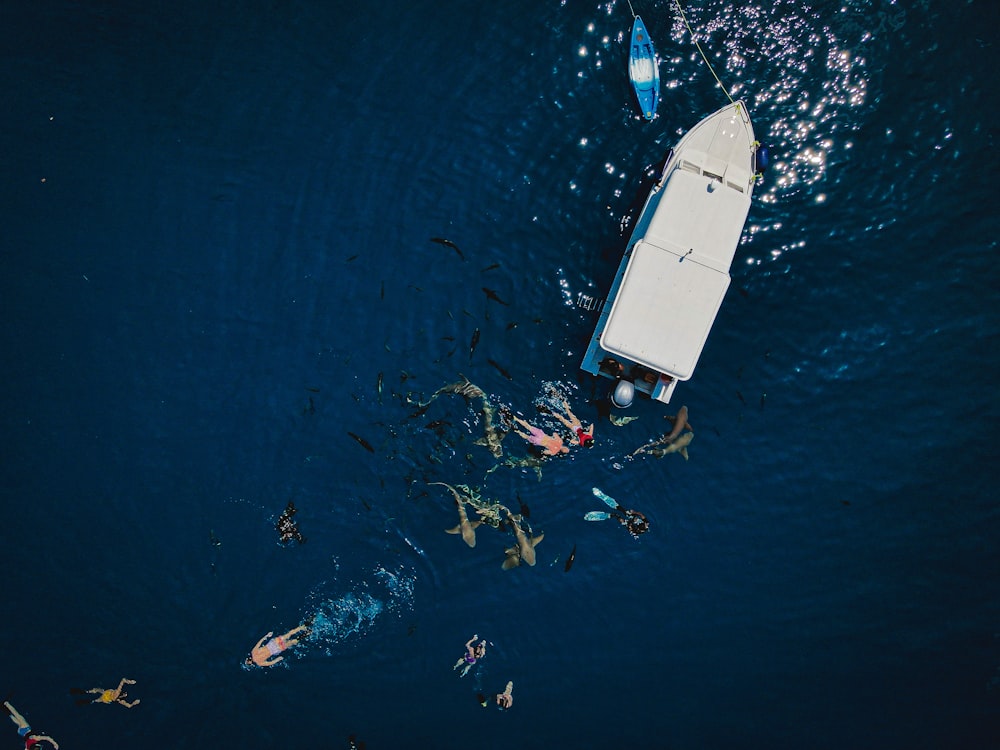 white and blue boat on blue sea during daytime