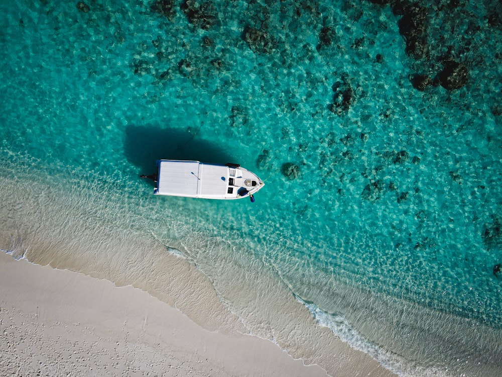 white and black boat on body of water during daytime