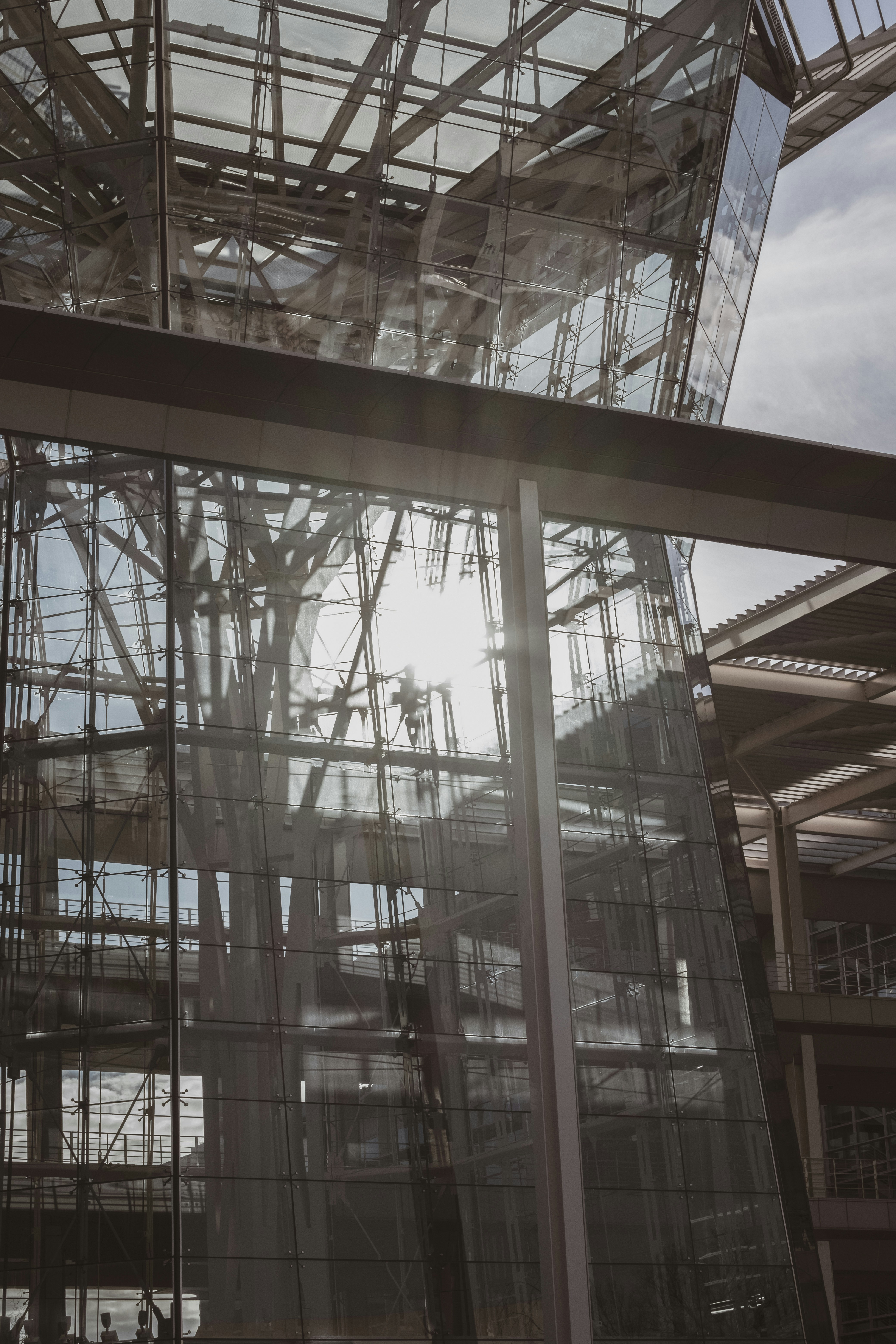 Photo by parsoakhorsand