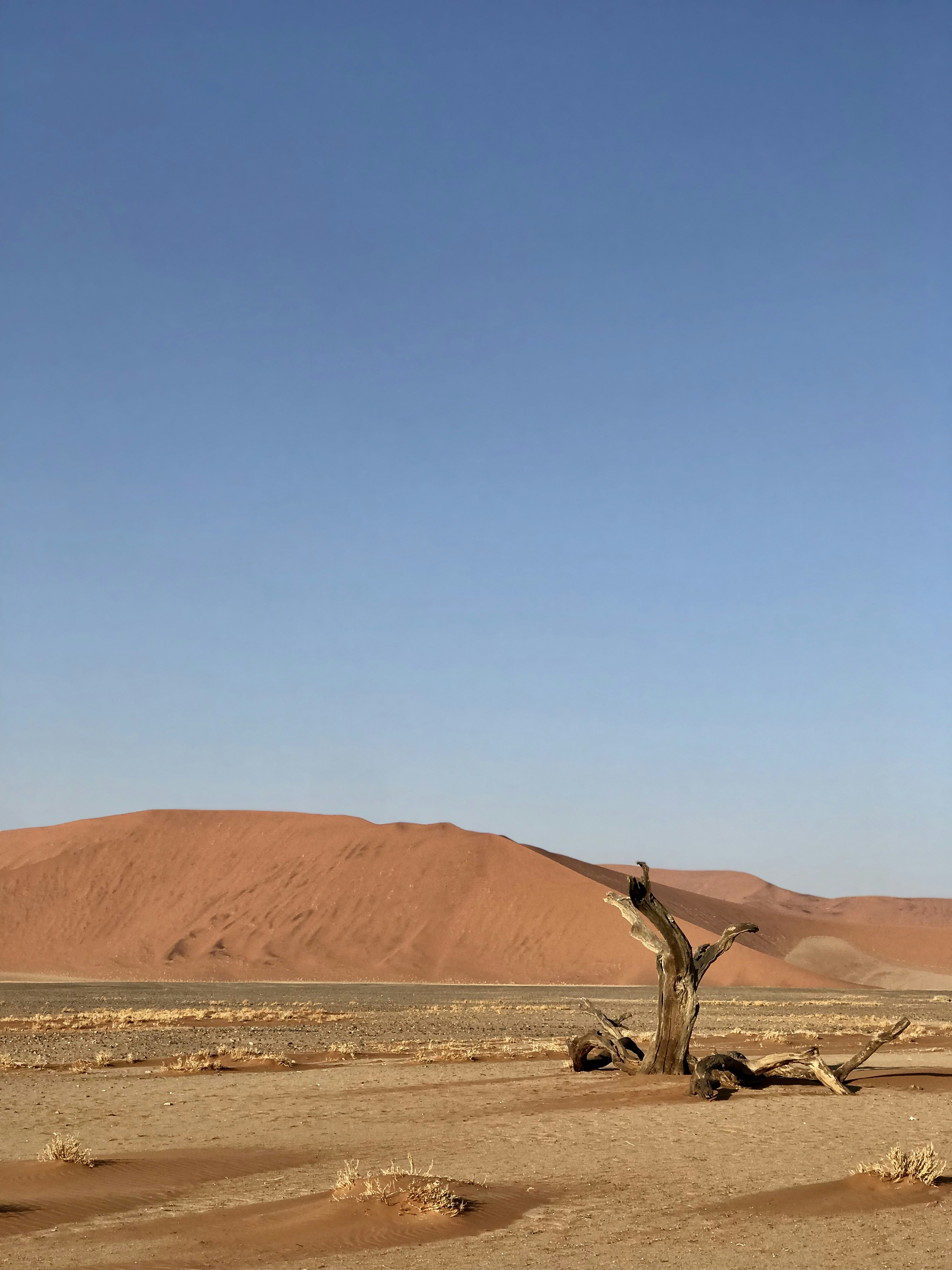 brown mountain under blue sky during daytime