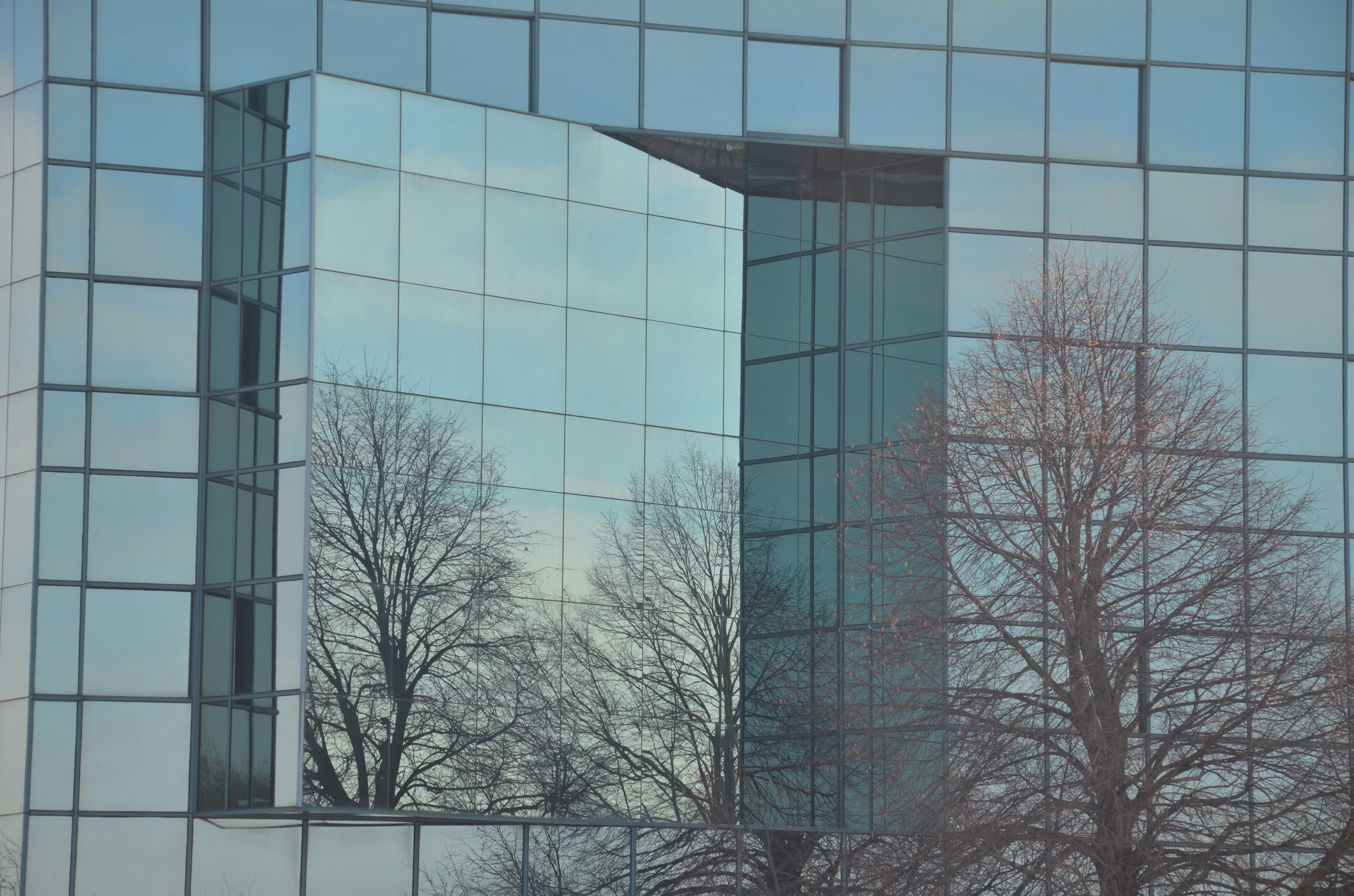 MoonLake Immunotherapeutics (MLTX) Shareholders Who Lost Money Have Opportunity to Lead Securities Fraud Lawsuit