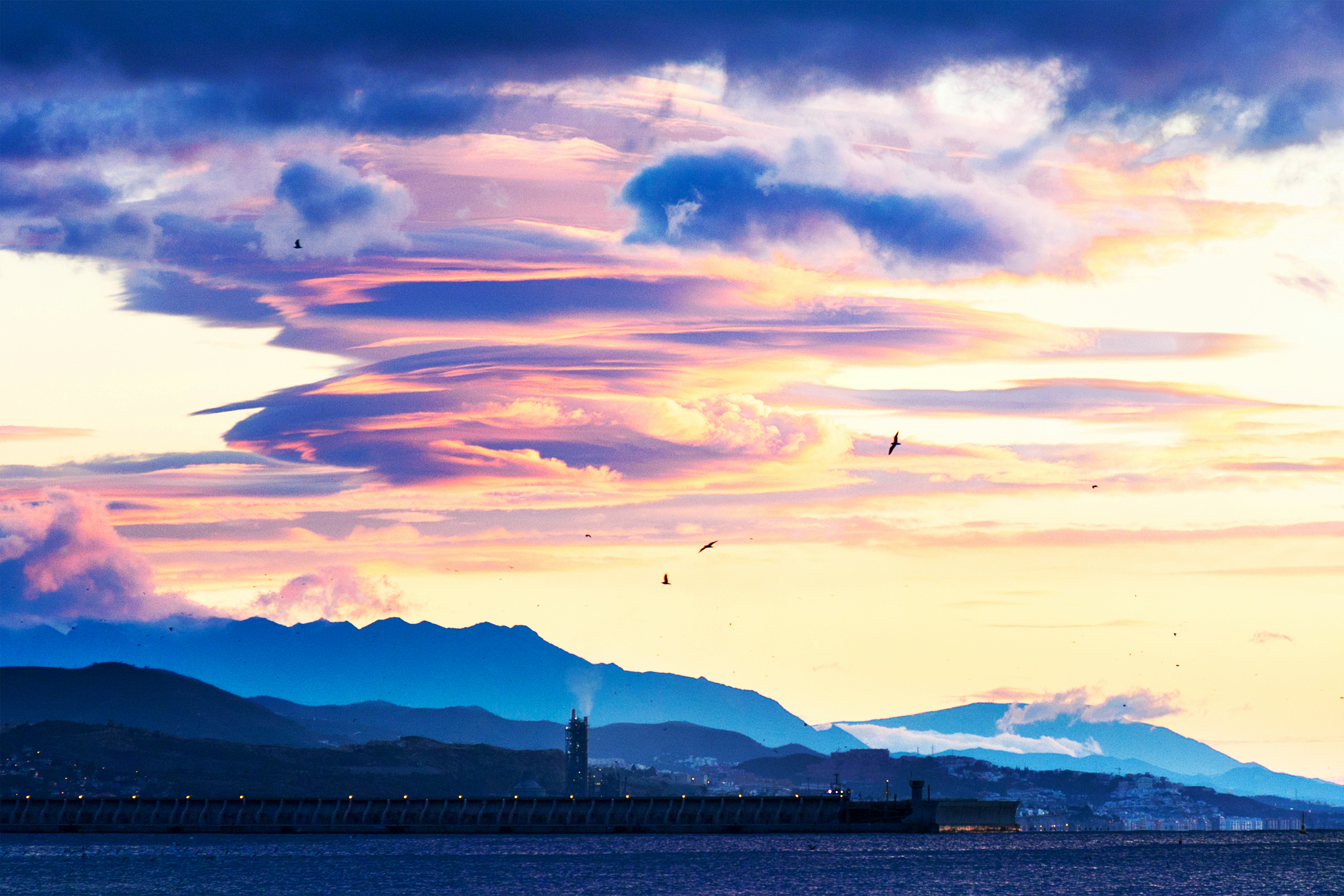 birds flying over the city during sunset