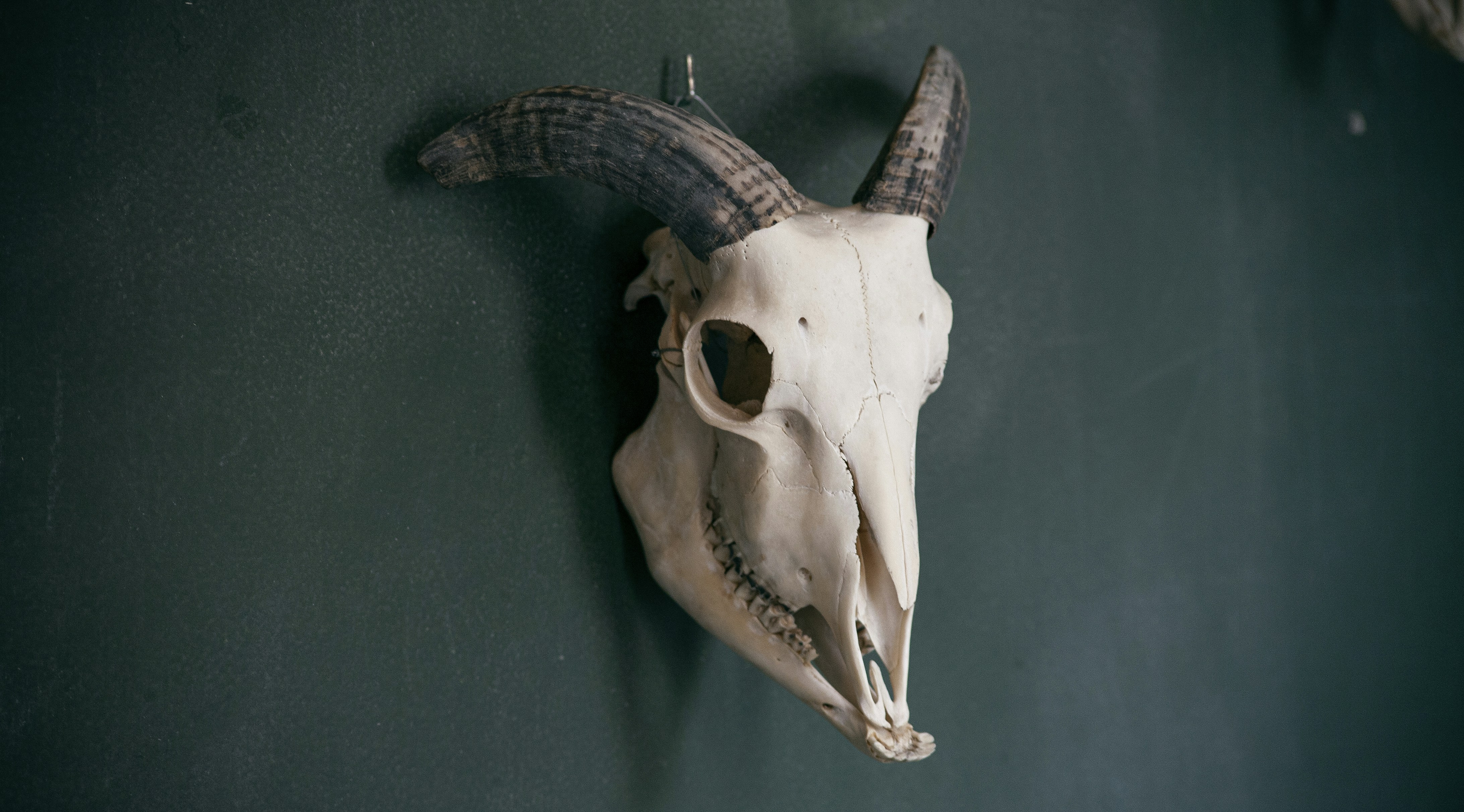 Photo by packerdanilo