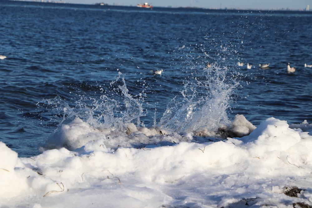 Les vagues de la mer s’écrasent sur le rivage pendant la journée