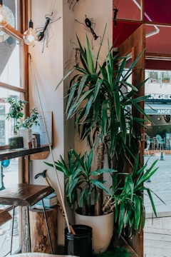 A cozy café corner enhanced with vibrant artificial greenery.