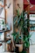 A cozy corner of El Cubanito decorated with green leaves and warm yellow-orange lighting.