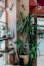 A cozy corner of El Cubanito decorated with green leaves and warm yellow-orange lighting.