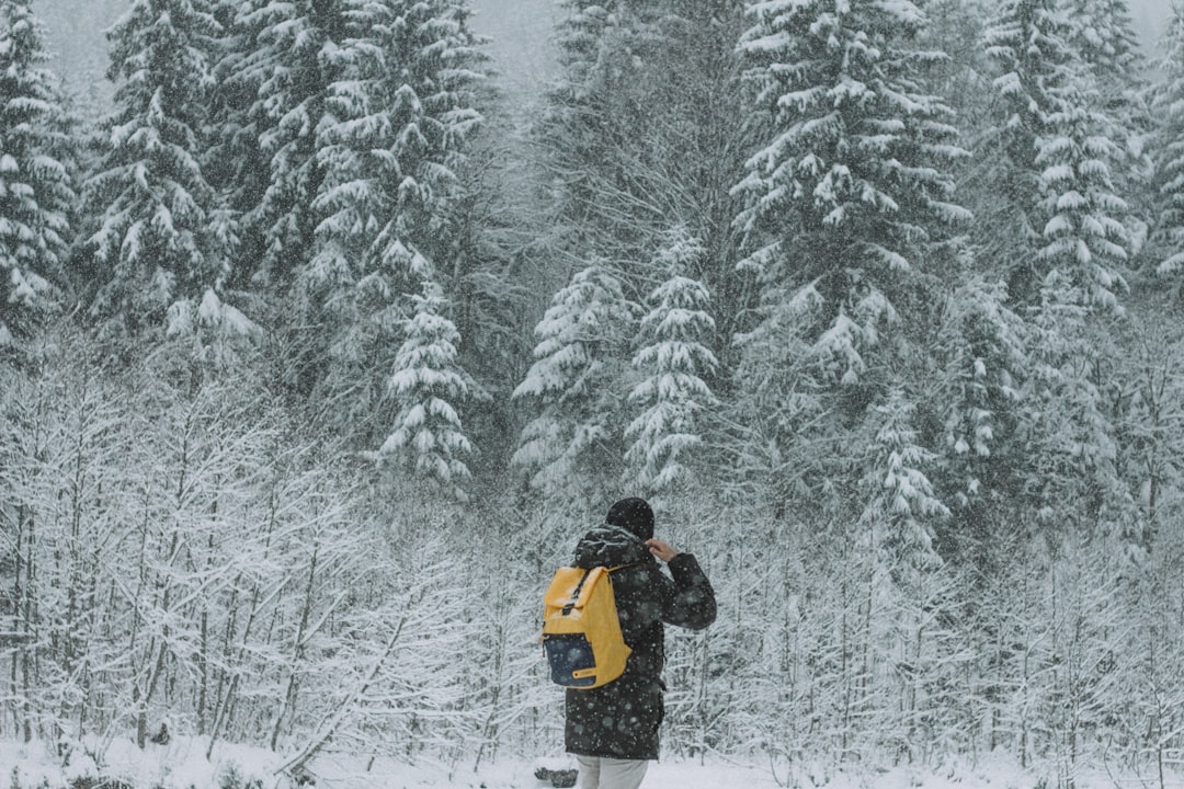 person in black jacket and orange backpack standing on snow covered ground near pine trees during