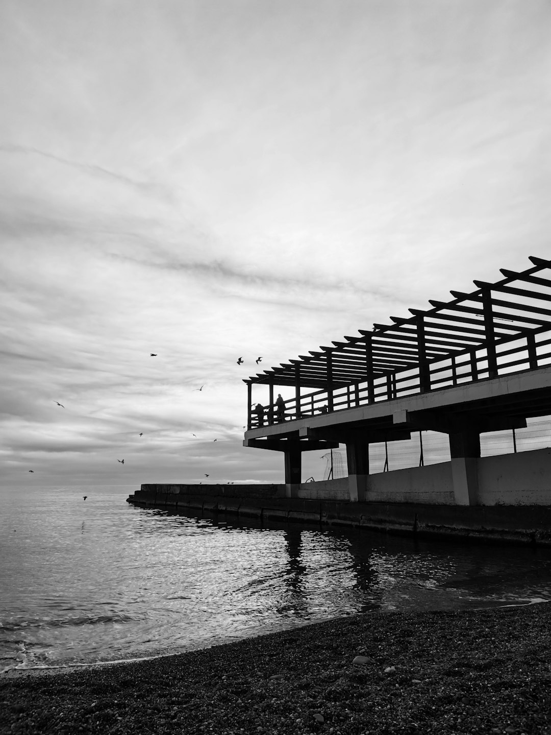 grayscale photo of wooden dock on body of water