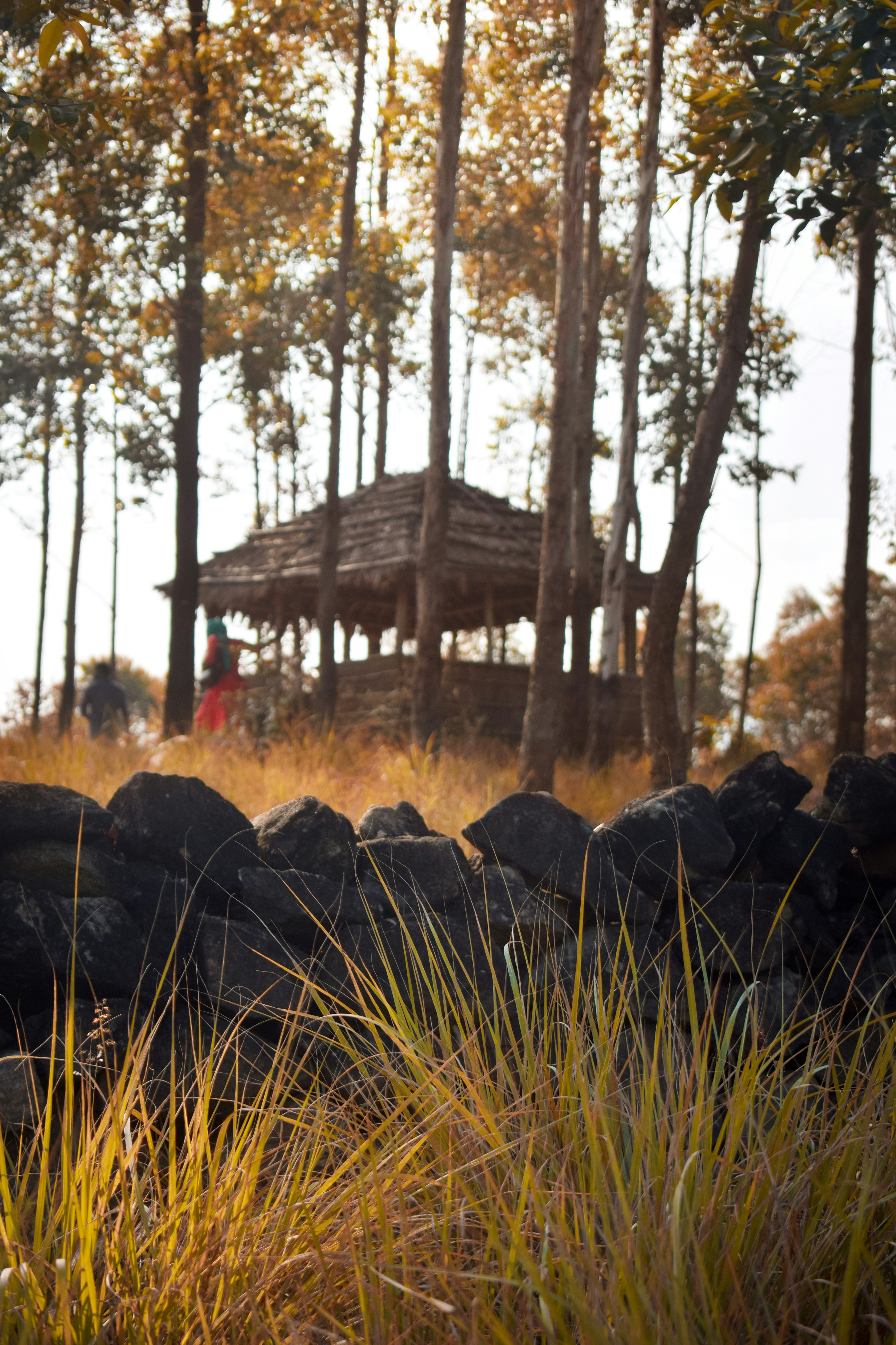 brown wooden house near green grass field during daytime