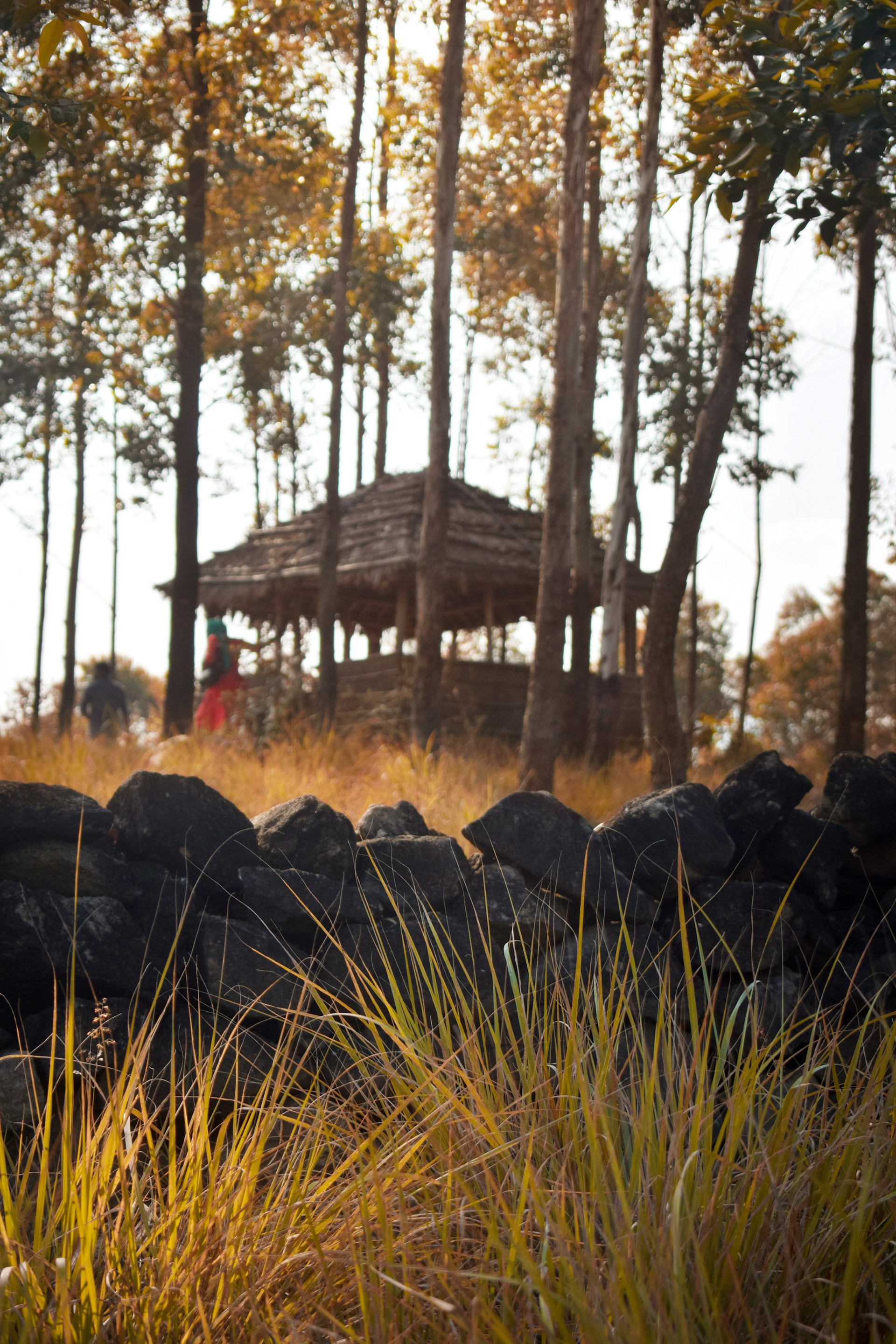 brown wooden house near green grass field during daytime