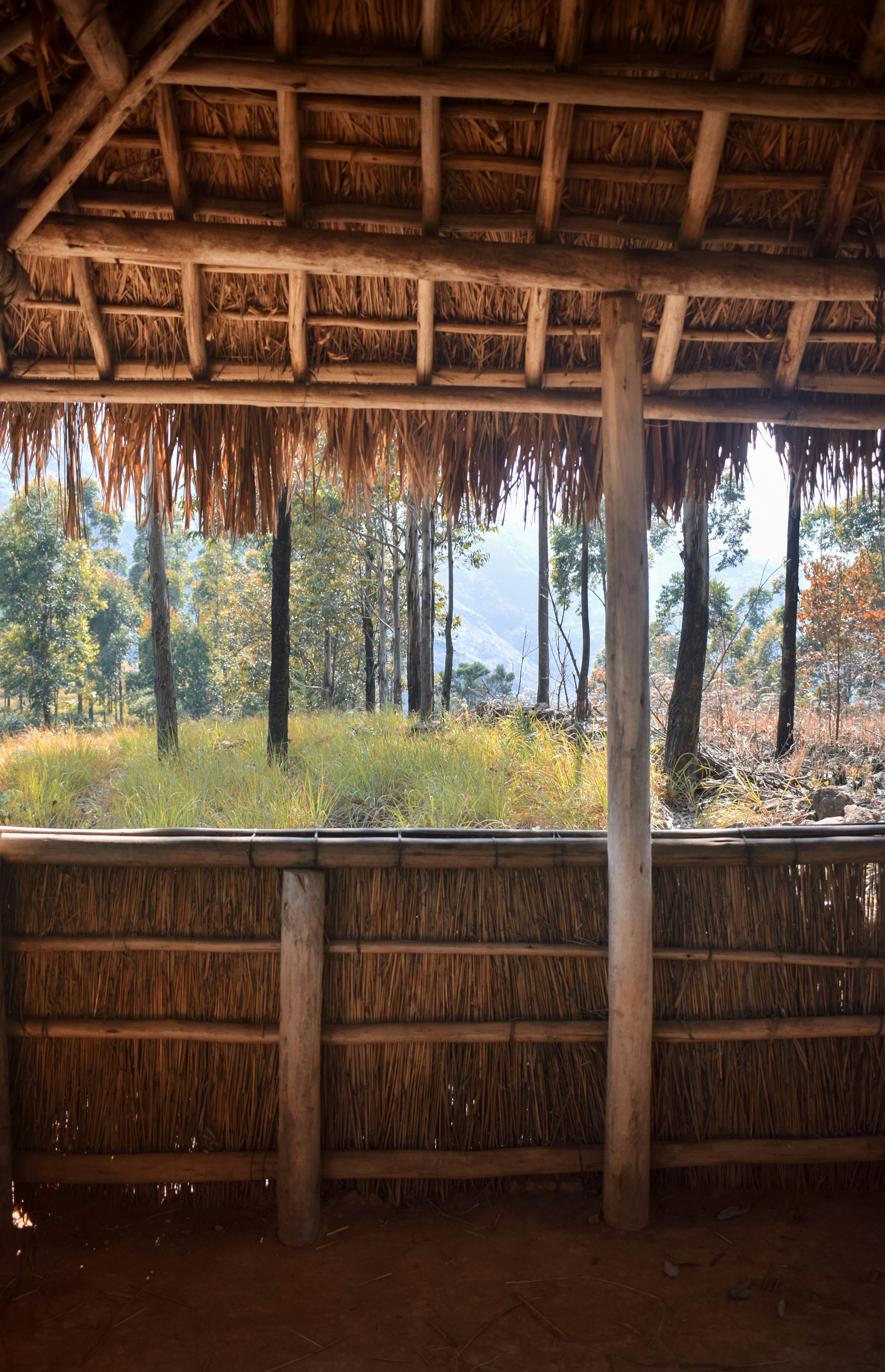 Sunlight filters through lush green trees onto a traditional thatched cottage in Vedic Gram, capturing the peaceful village atmosphere.