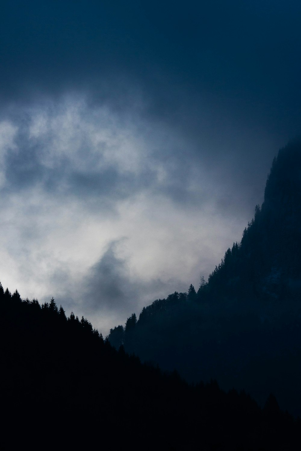 green trees under white clouds