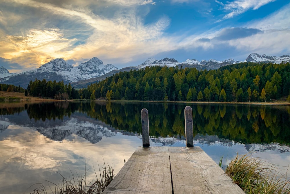 Pontile di legno marrone sul lago vicino agli alberi verdi sotto le nuvole bianche e il cielo blu durante il giorno