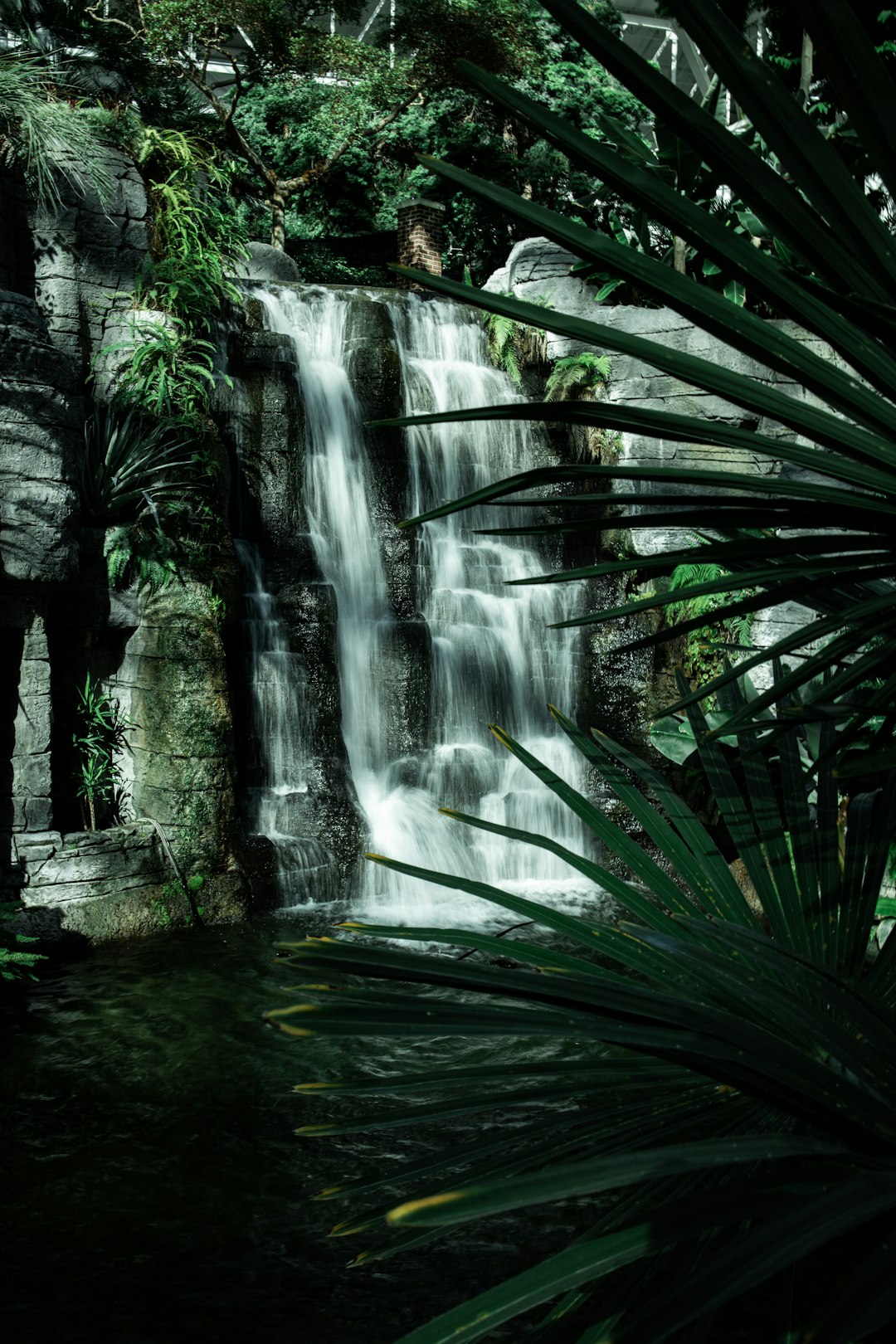 water falls in the middle of green plants