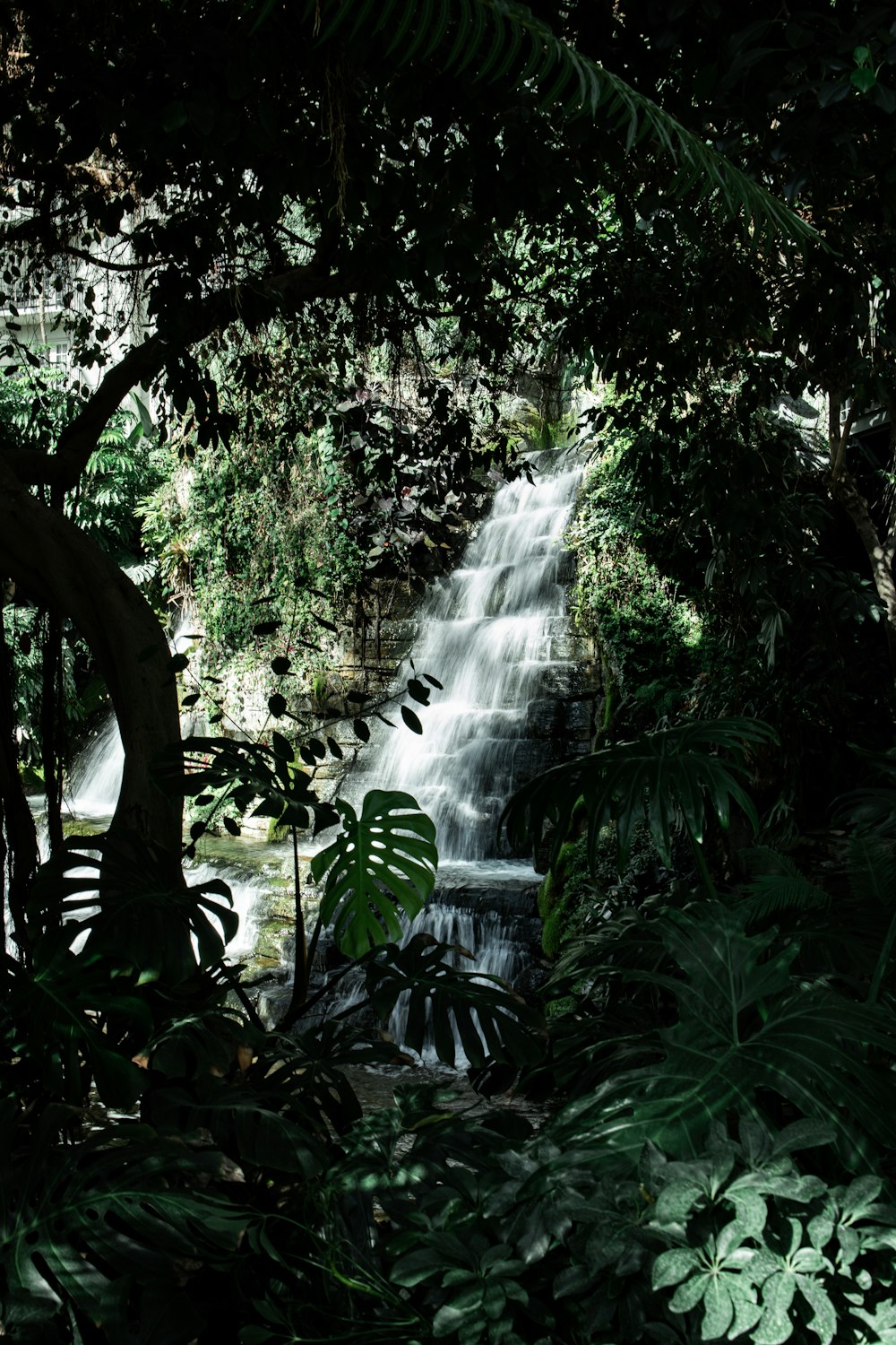 waterfalls in the middle of the forest