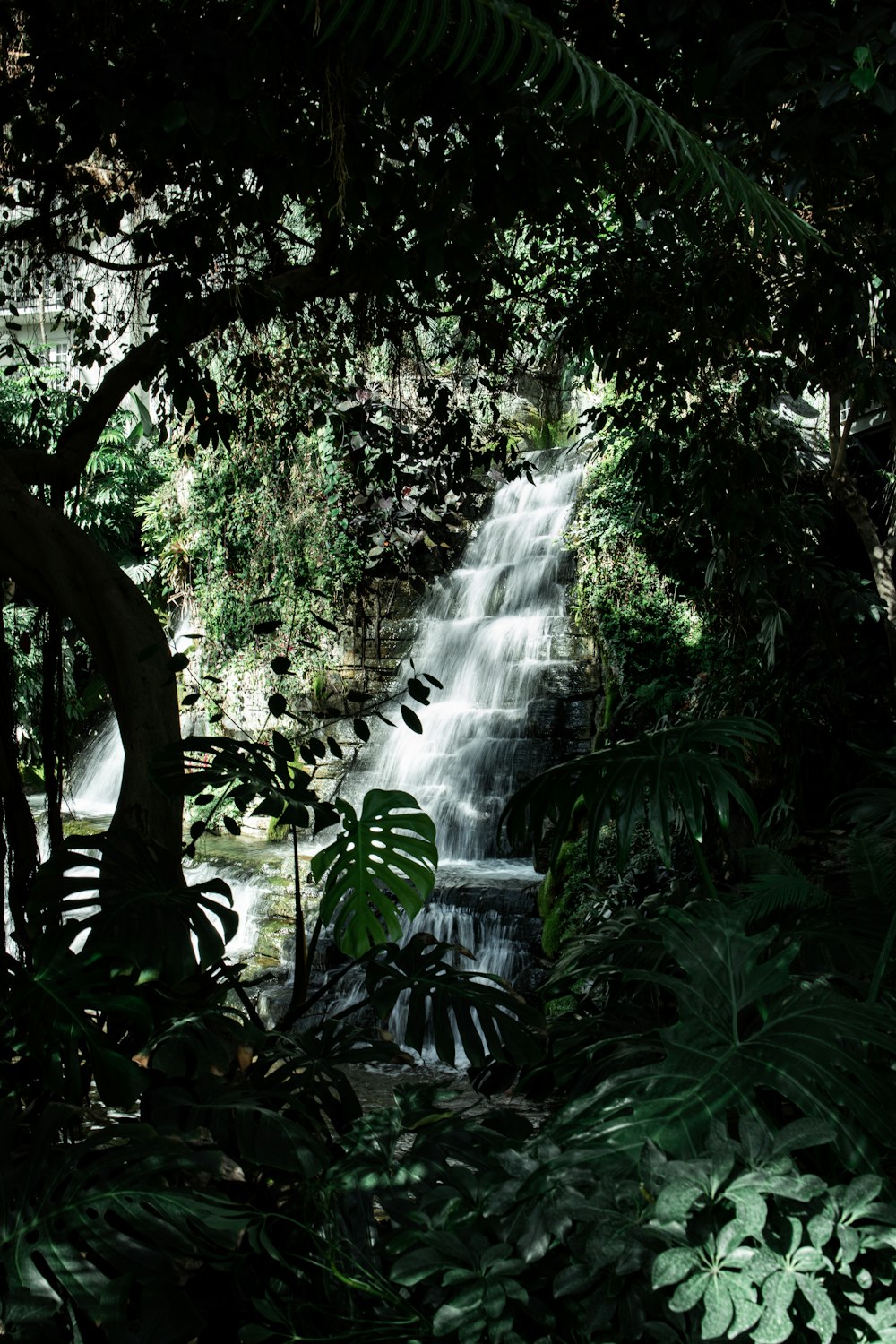 cachoeiras no meio da floresta