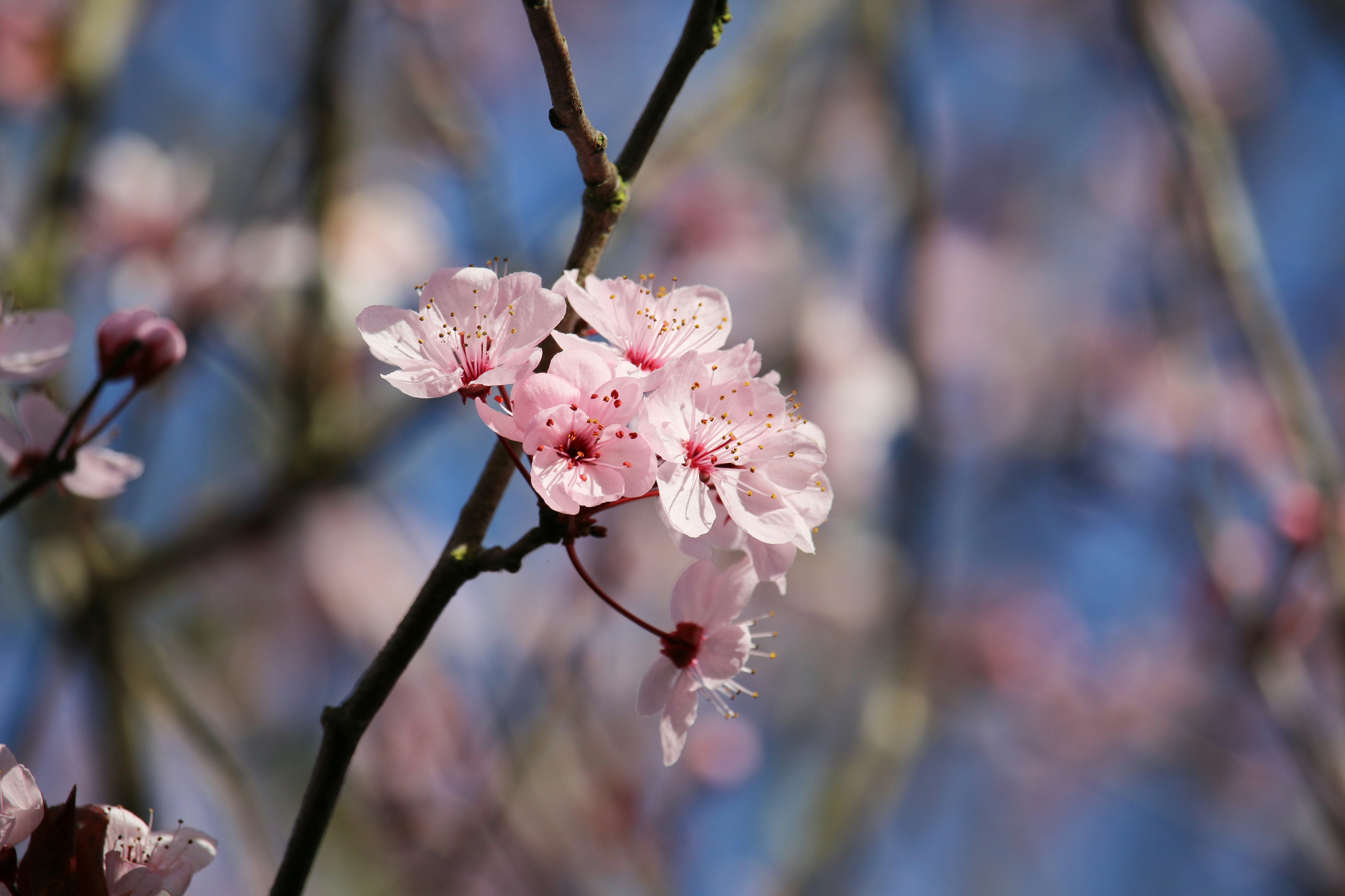 Photo by johanna_m_jordan_photography