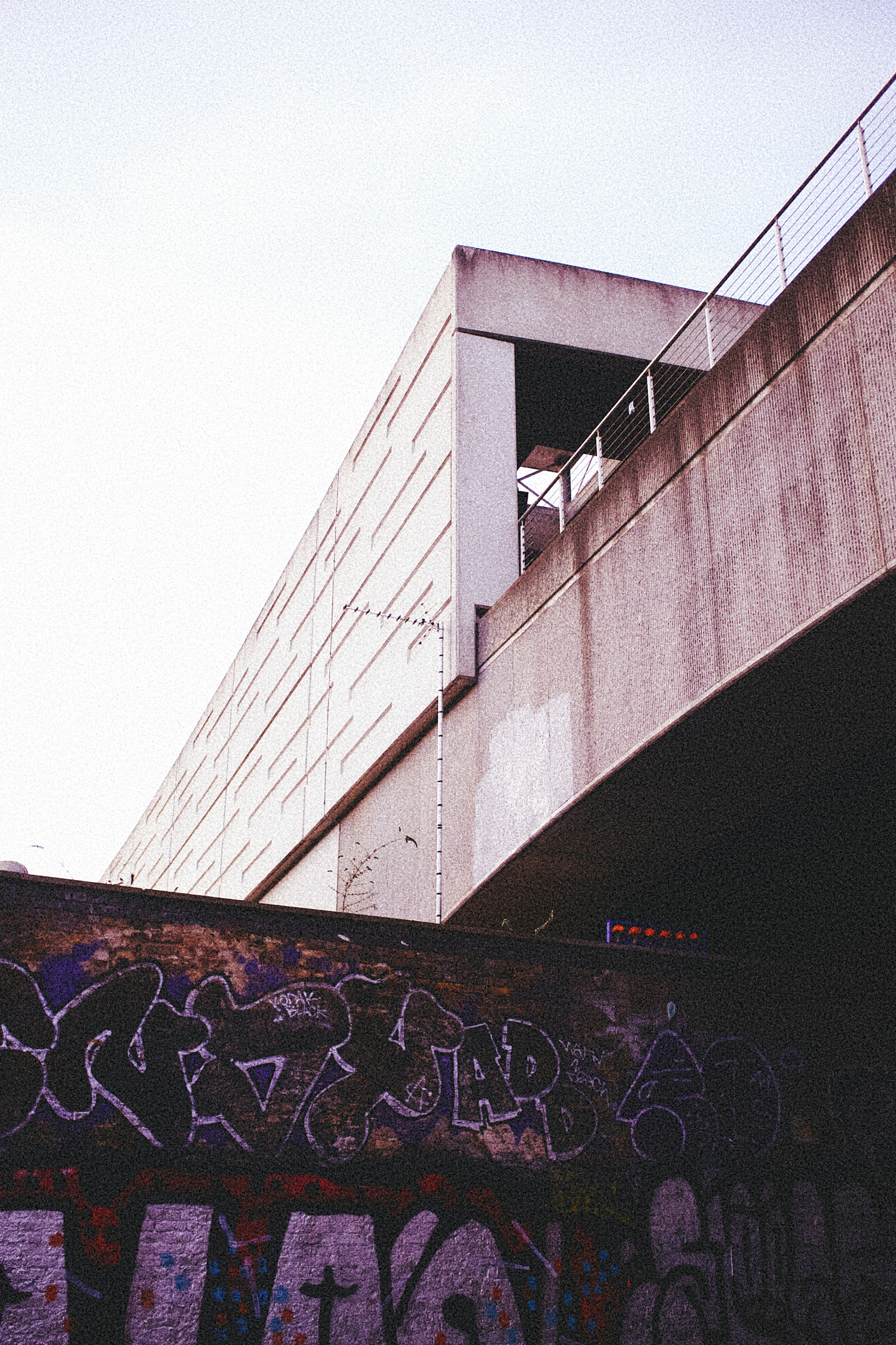 Photo by maxwhtd