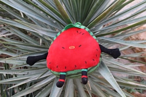A plush toy designed to resemble a watermelon slice, featuring a red central section with black seed-like designs. It has black limbs and is surrounded by spiky green leaves of a plant, likely an agave.