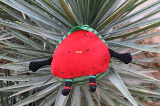 A plush toy designed to resemble a watermelon slice, featuring a red central section with black seed-like designs. It has black limbs and is surrounded by spiky green leaves of a plant, likely an agave.