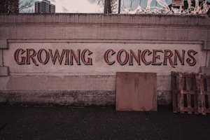 Economic Implications and Sustainability Concerns