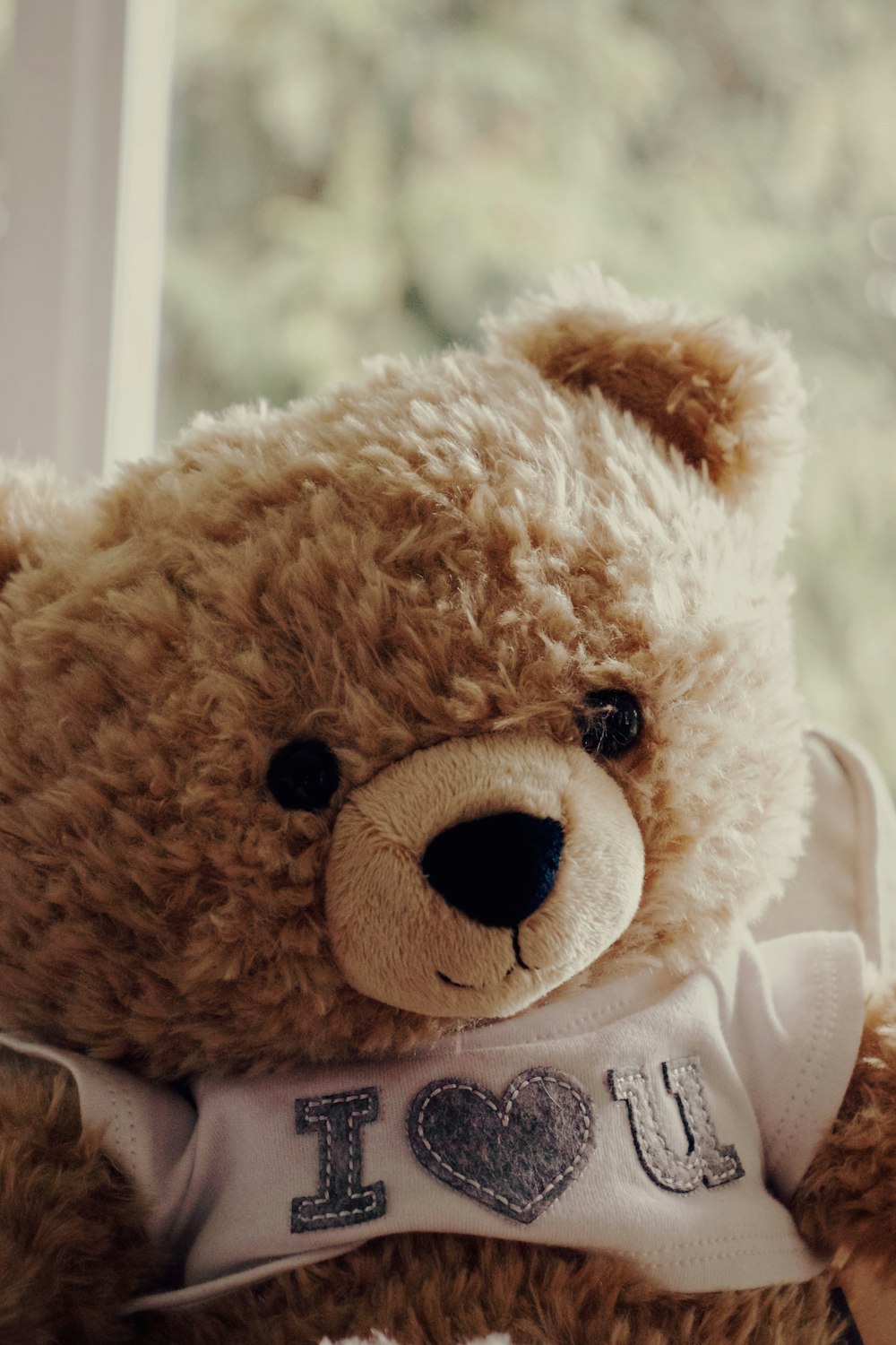 “A Stunning Compilation of Full 4K Cute Teddy Bear Pictures: Over 999 Charming Images”