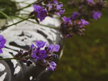 Close-up of a lavender blouse paired with mint green accessories on a wooden table.