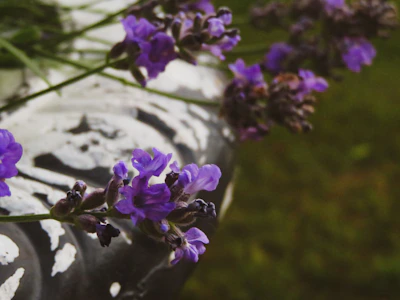 Close-up of a lavender blouse paired with mint green accessories on a wooden table.