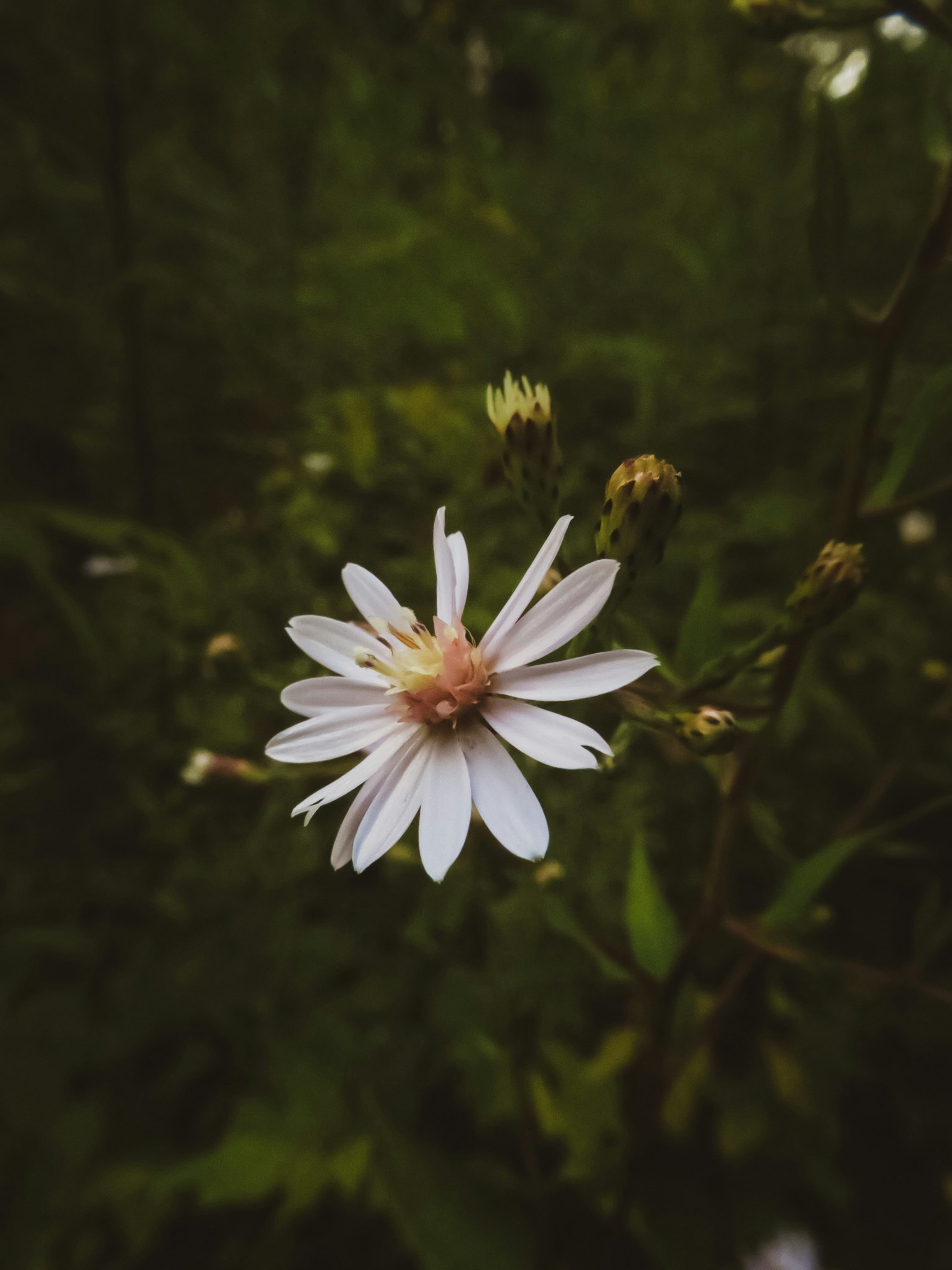 Photo by hlaurphotography