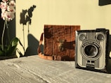 A vintage camera with the label 'Fodor-Box' sits on a rustic wooden surface next to a brown leather bag. To the left, vibrant orchids cast a dramatic shadow against a light green wall, creating a nostalgic and serene ambiance.