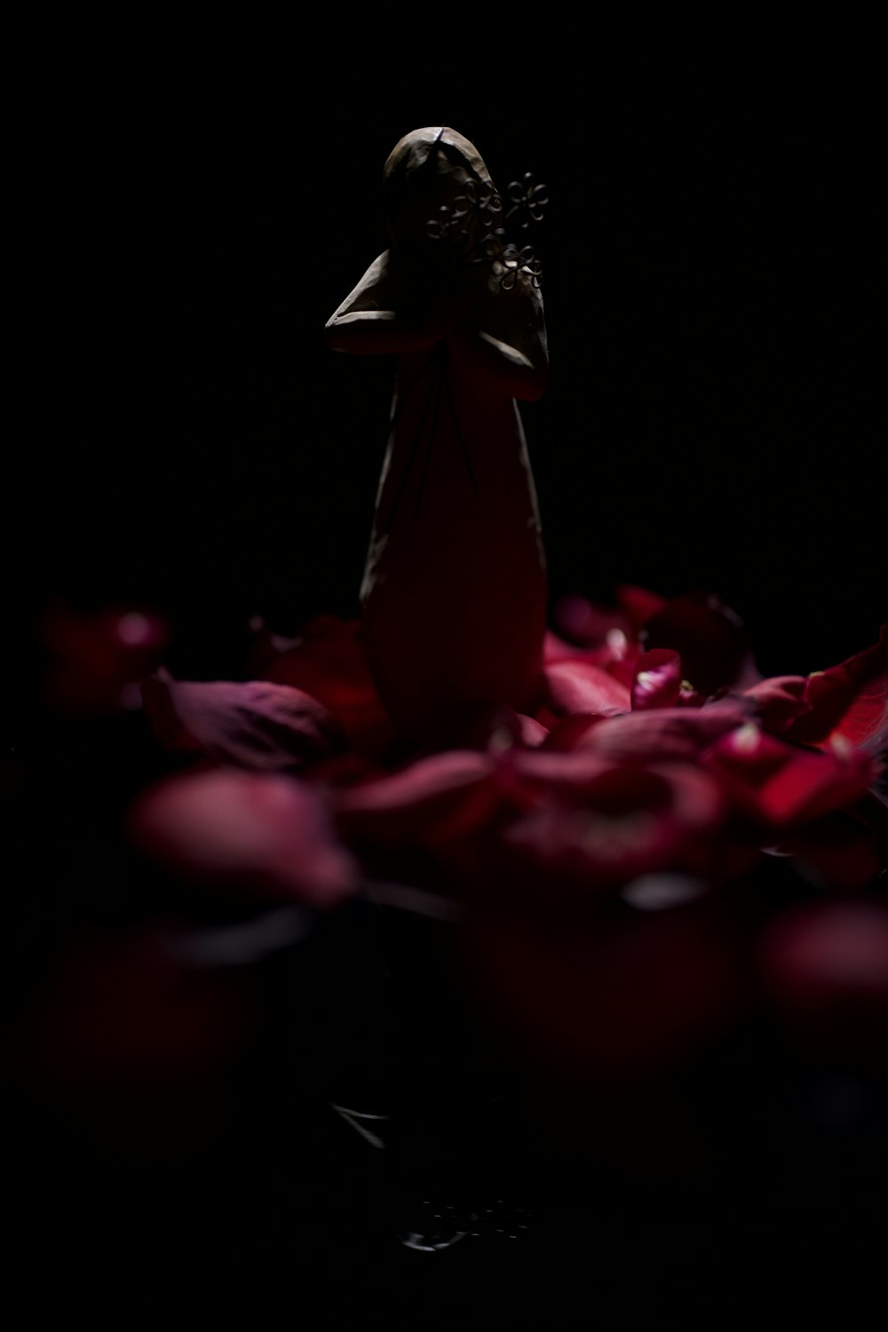 pink flower in dark room