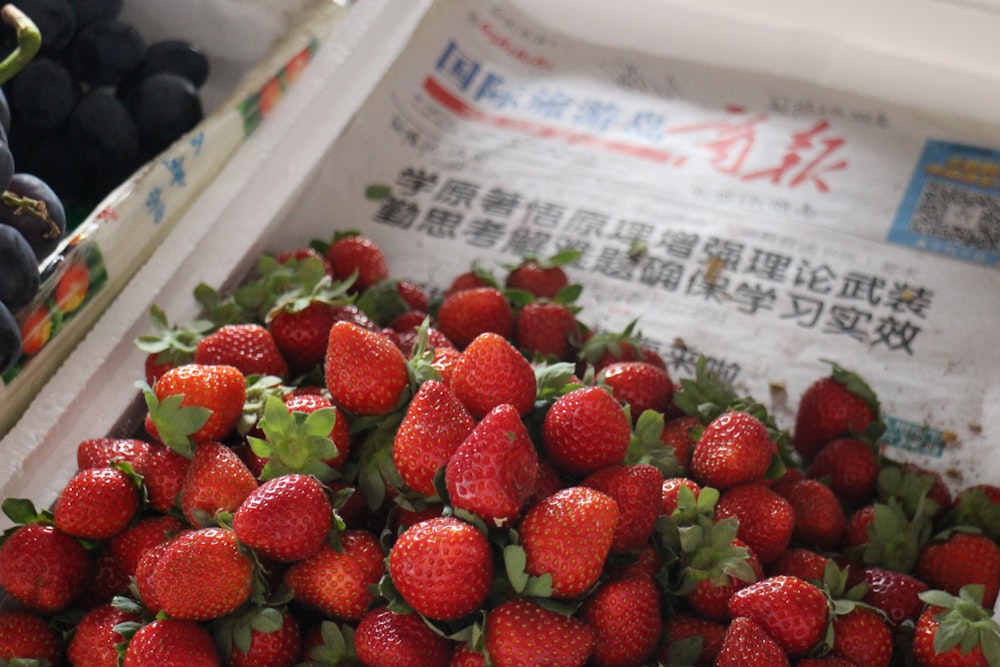 fraises sur récipient en plastique blanc