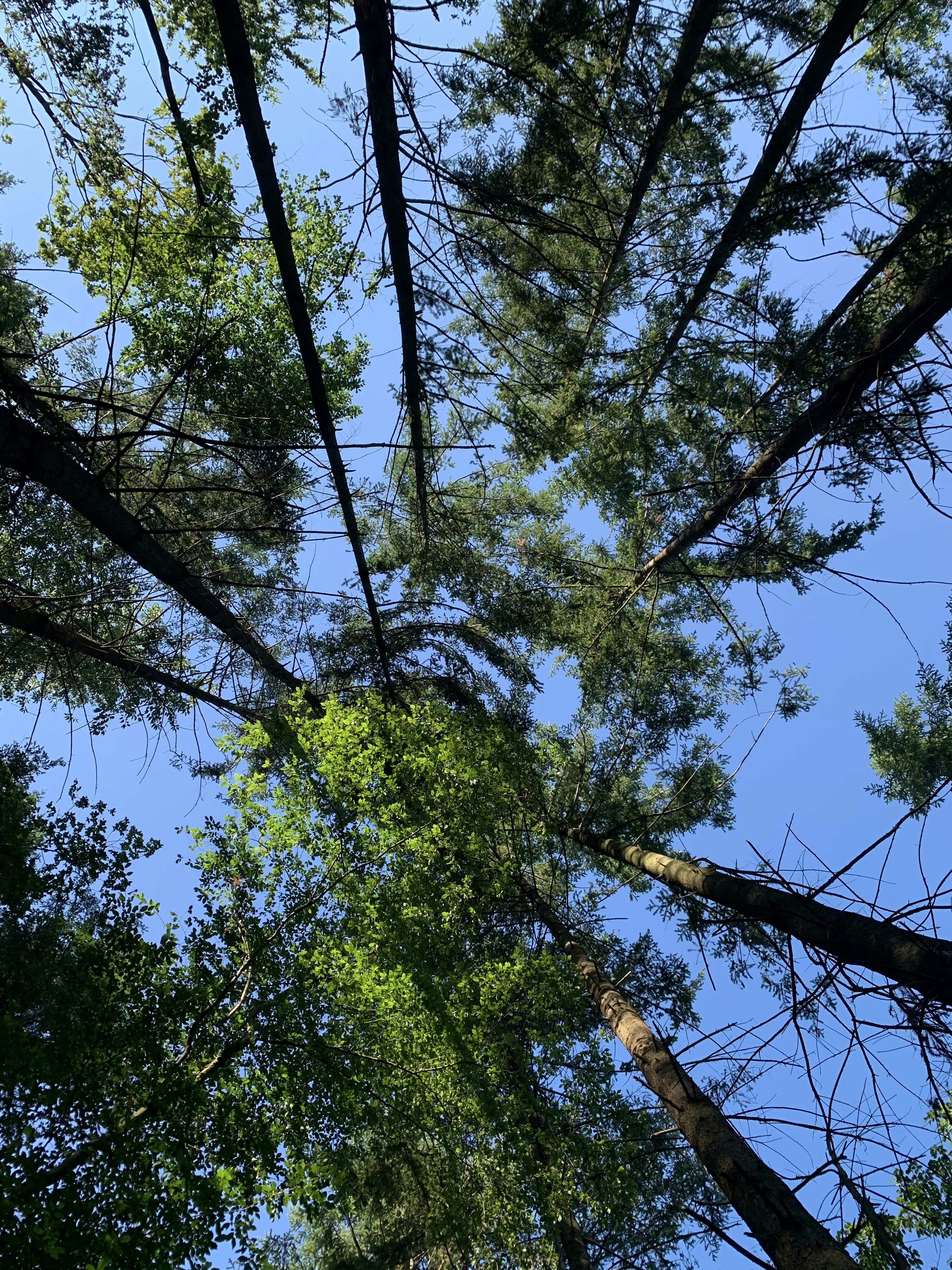 Photo by budauoana231