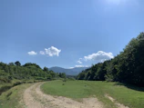 A winding trail cutting through lush green alpine meadows under a clear blue sky.
