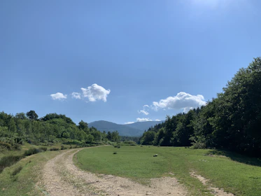 A winding trail cutting through lush green meadows under a bright blue sky.