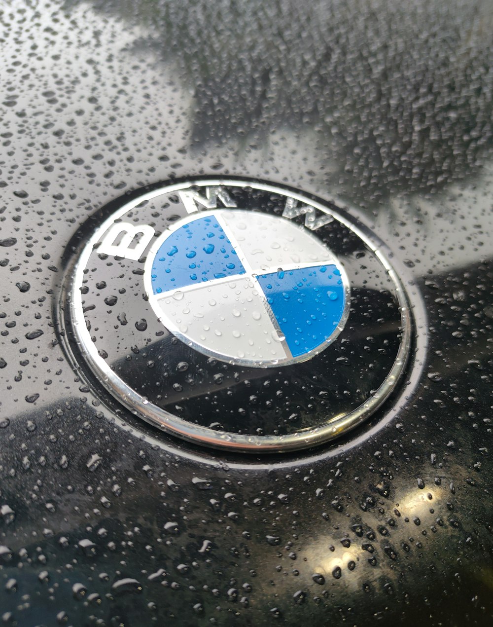 black and silver bmw emblem