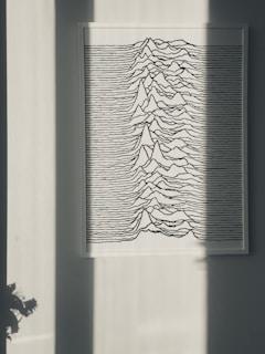 A framed artwork is displayed on a wall. The image features a series of black lines forming mountain-like wave patterns against a white background. A shadow falls across the wall, partially obscuring the artwork, and a small plant is visible at the bottom left corner.