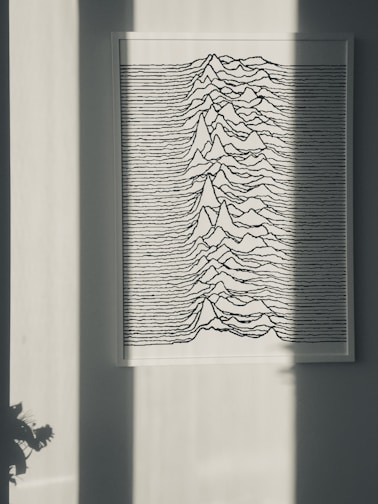 A framed artwork is displayed on a wall. The image features a series of black lines forming mountain-like wave patterns against a white background. A shadow falls across the wall, partially obscuring the artwork, and a small plant is visible at the bottom left corner.
