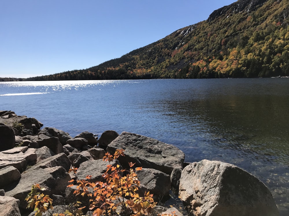 gray rocks near body of water during daytime